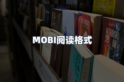 MOBI阅读格式